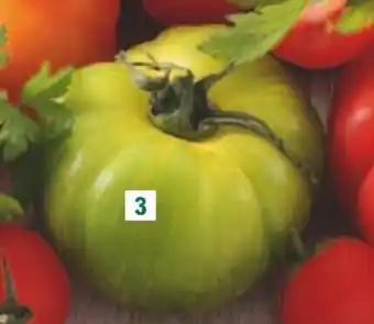 E.Leclerc Tomate ananas offre