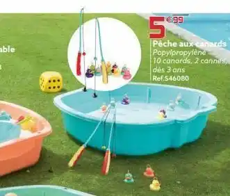 €99  pêche aux canards popylpropylène  10 canards, 2 cannes, dès 3 ans ref.546080