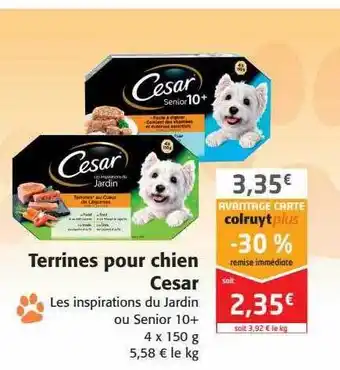 Terrines Pour Chien Cesar