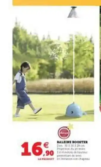 Baleine Booster