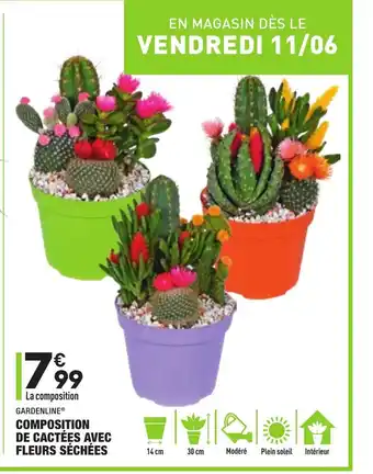 ALDI Composition de cactées avec fleurs séchées offre