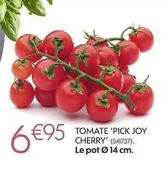 Truffaut Tomate pick Joy Cherry offre