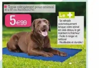 Kandy Tapis Réfrigérant Pour Animal offre