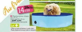 Kandy Piscine Pour Chien offre