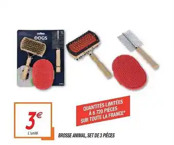 Brosse Animal, Set De 3 PiĂšces