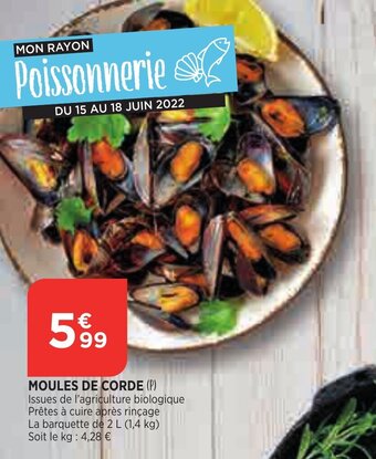 Bi1 Moules de corde offre