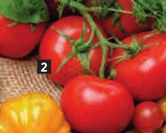 Bi1 Tomate ronde en grappe offre
