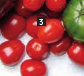 Bi1 Tomate cerise offre