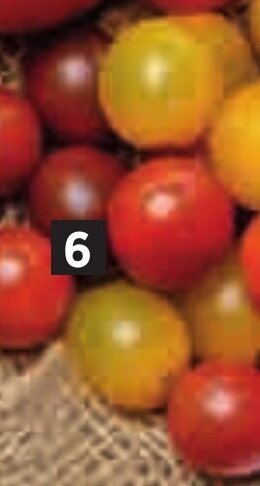 Bi1 Tomate cerise ronde offre