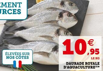 U Express Daurade royale d'aquaculture offre