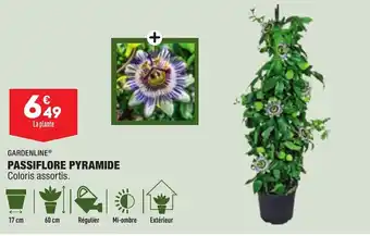 ALDI GARDENLINE passiflore pyramide offre