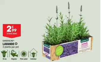ALDI GARDENLINE lavande offre