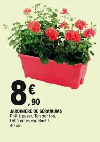 E.Leclerc Jardinière de géraniums offre