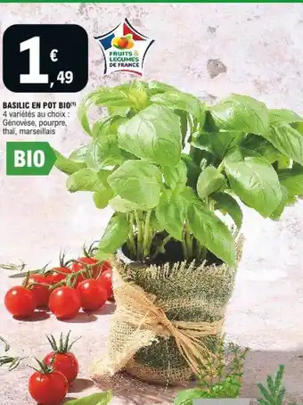 E.Leclerc Basilic En Pot Bio offre