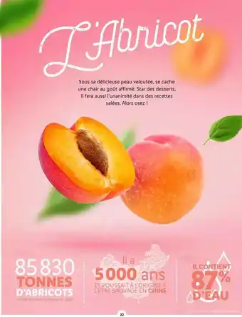 Lidl Abricots offre