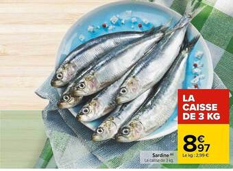 Carrefour Sardine offre