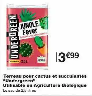 Terreau Pour Cactus Et Succulentes