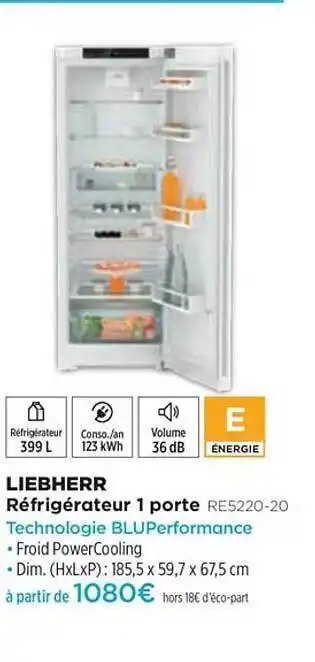 Pulsat Réfrigérateur 1 Porte Liebherr Re5220-20 offre
