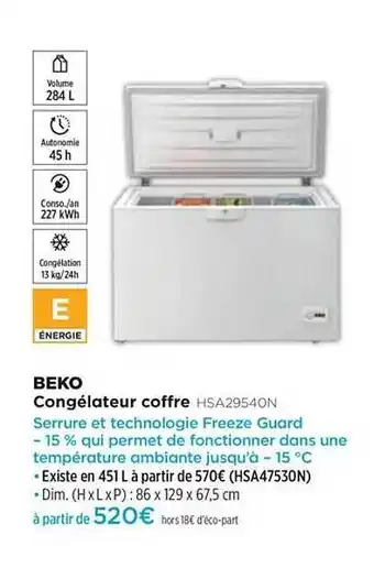 Pulsat Congélateur Coffre Beko Hsa29540n offre