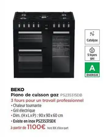 Piano De Cuisson Gaz Beko Ps235315db