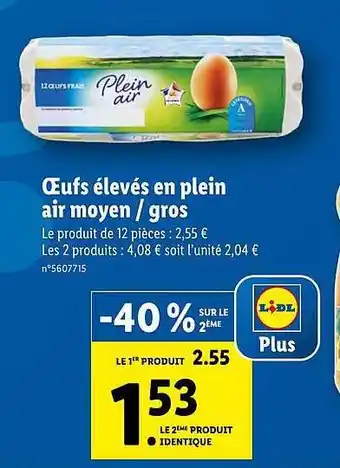 Lidl Oeufs élevés En Plein Air Moyen-gros offre