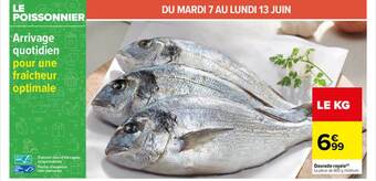 Carrefour Daurade Royale offre