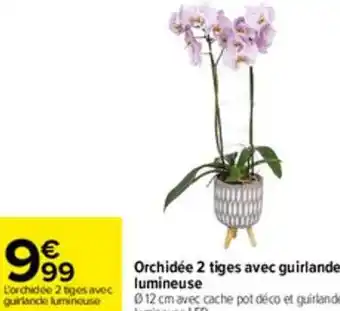 Carrefour Orchidée 2 Tiges Avec Guirlande Lumineuse offre
