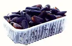 Auchan MOULES DE CORDE BIO offre
