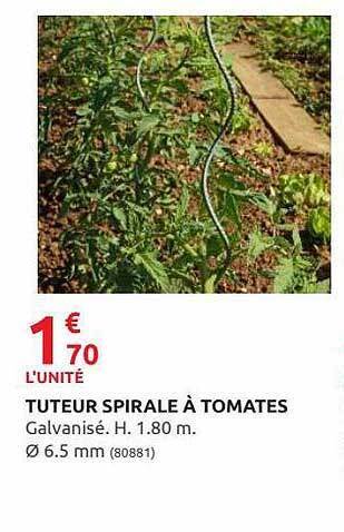 Rural Master Tuteur Spirale à Tomates offre