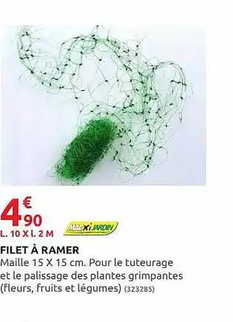 Rural Master Filet à Ramer Macxi Jardin offre