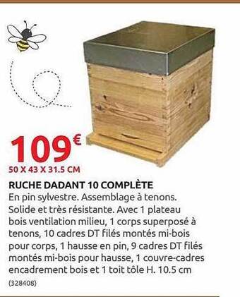 Rural Master Ruche Dadant 10 Complète offre