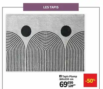 Conforama Tapis Plump 160 X 230 Cm offre