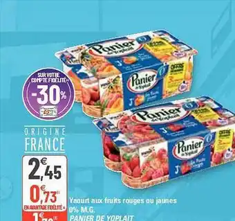 G20 Yaourt Aux Fruits Rouges Ou Jaunes 0% M.g. Panier De Yoplait offre