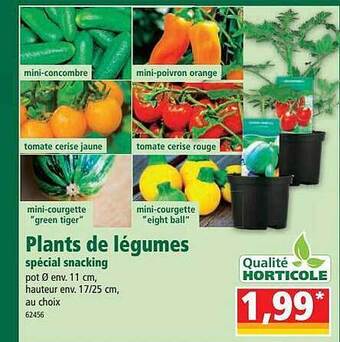 Norma Plants De Légumes Spécial Snacking offre