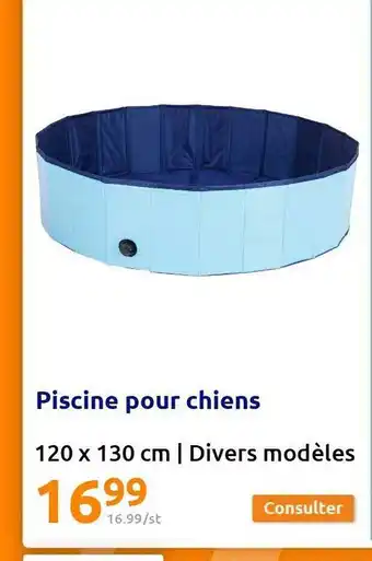 Action Piscine Pour Chiens offre