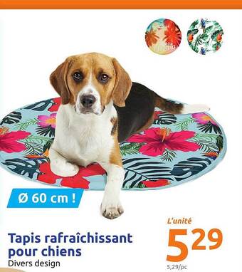 Action Tapis Rafraîchissant Pour Chiens offre