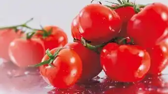 TOMATES RONDES GRAPPE