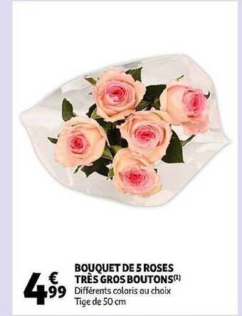 Auchan Bouquet De 5 Roses Très Gros Boutons offre