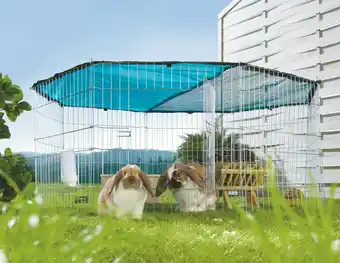 Maxi Zoo Cage Fit+Fun offre