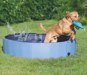 Maxi Zoo Piscine offre