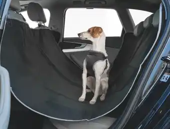 Maxi Zoo Couverture de voiture offre