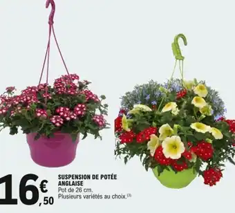 E.Leclerc Suspension de potée anglaise offre