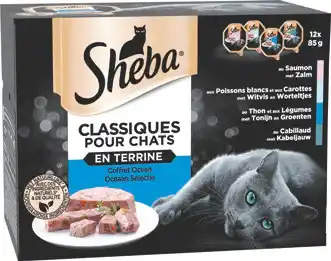 Maxi Zoo Multipacks Sheba offre
