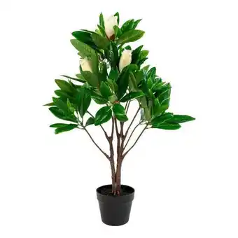 Butopea Műnövény, magnólia fa, 90 cm - magnolia - butopêa ajánlat