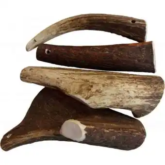 Szarvas agancs rágócsont kutyáknak, teomann s (50-80g)