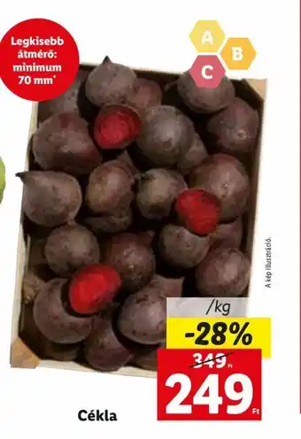 Lidl Cékla kg ajánlat