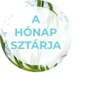 Hidratáló arckrém 20-as fényvédő faktorral