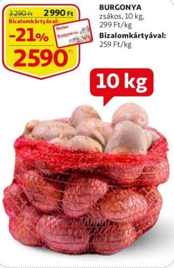 Auchan Burgonya 10kg ajánlat