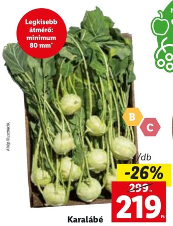 Lidl Karalábé ajánlat