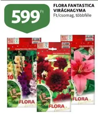 Auchan Flora fantastica virághagyma csomag ajánlat